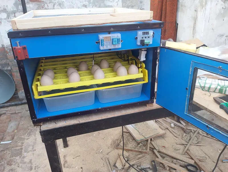 56 eggs automatic incubator  — photo 2