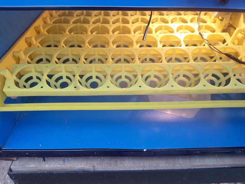 56 eggs automatic incubator  — photo 3