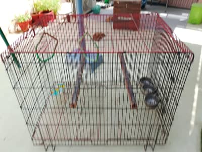 cage big