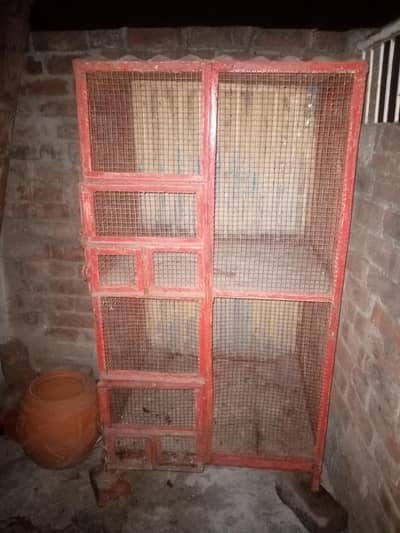 birds cage