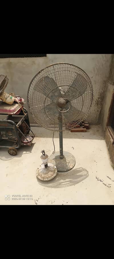 3 fans