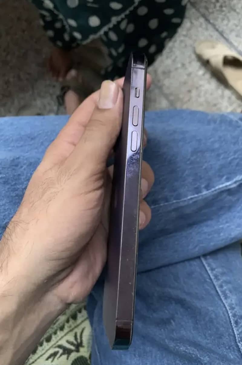 Apple iPhone 14 Pro Max 1