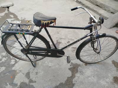 phoenix cycle