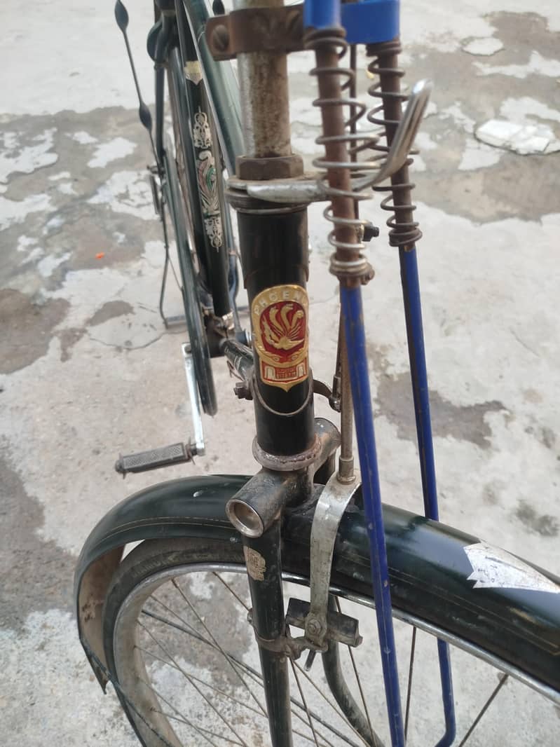phoenix cycle 2