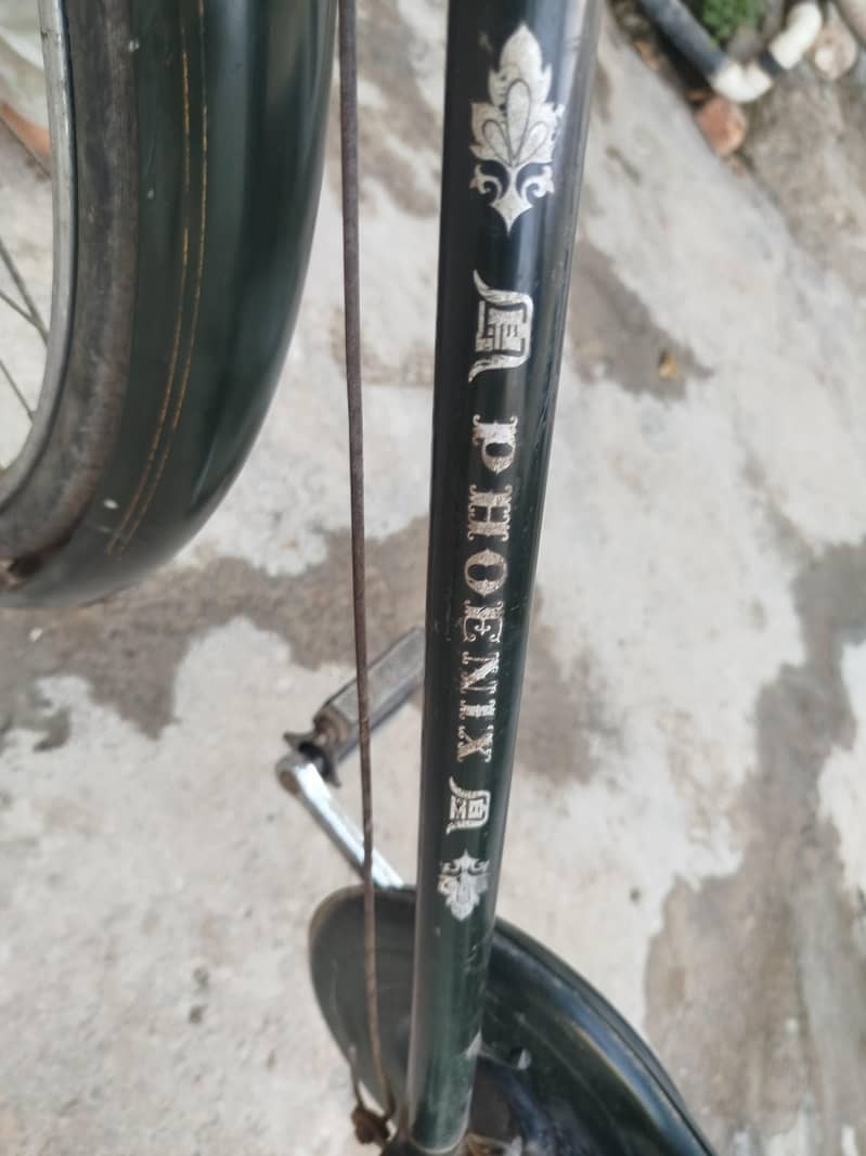 phoenix cycle 4