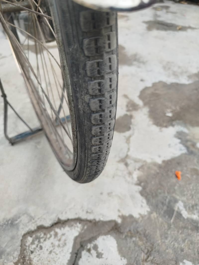 phoenix cycle 7