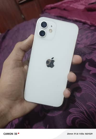 Apple iPhone 12