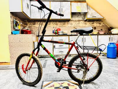 Phonex Cycle
