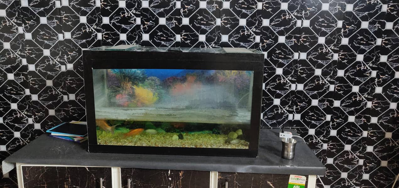 6 fish 1