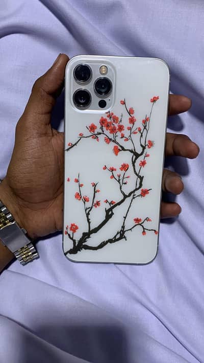 Apple iPhone 12 Pro Max