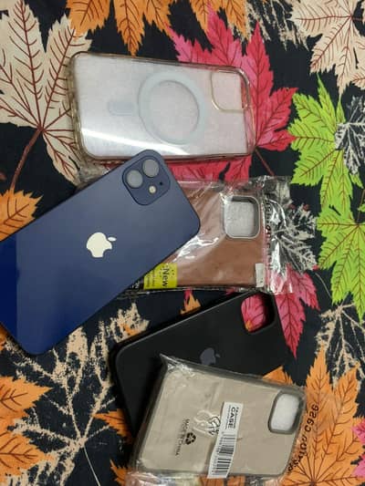 Apple iPhone 12