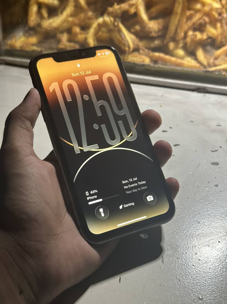 iPhone 11 0