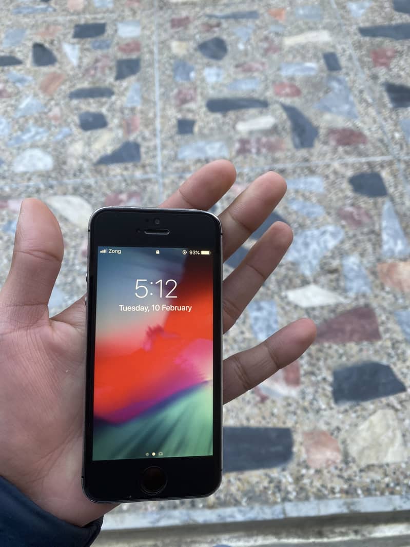 Apple iPhone 5s 5