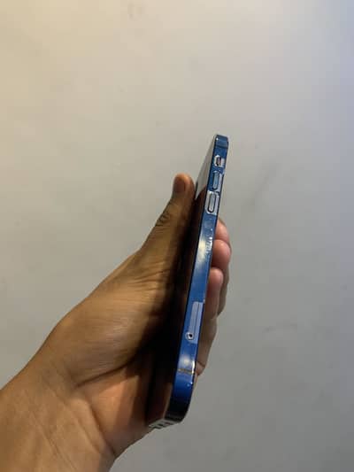 Apple iPhone 12jv