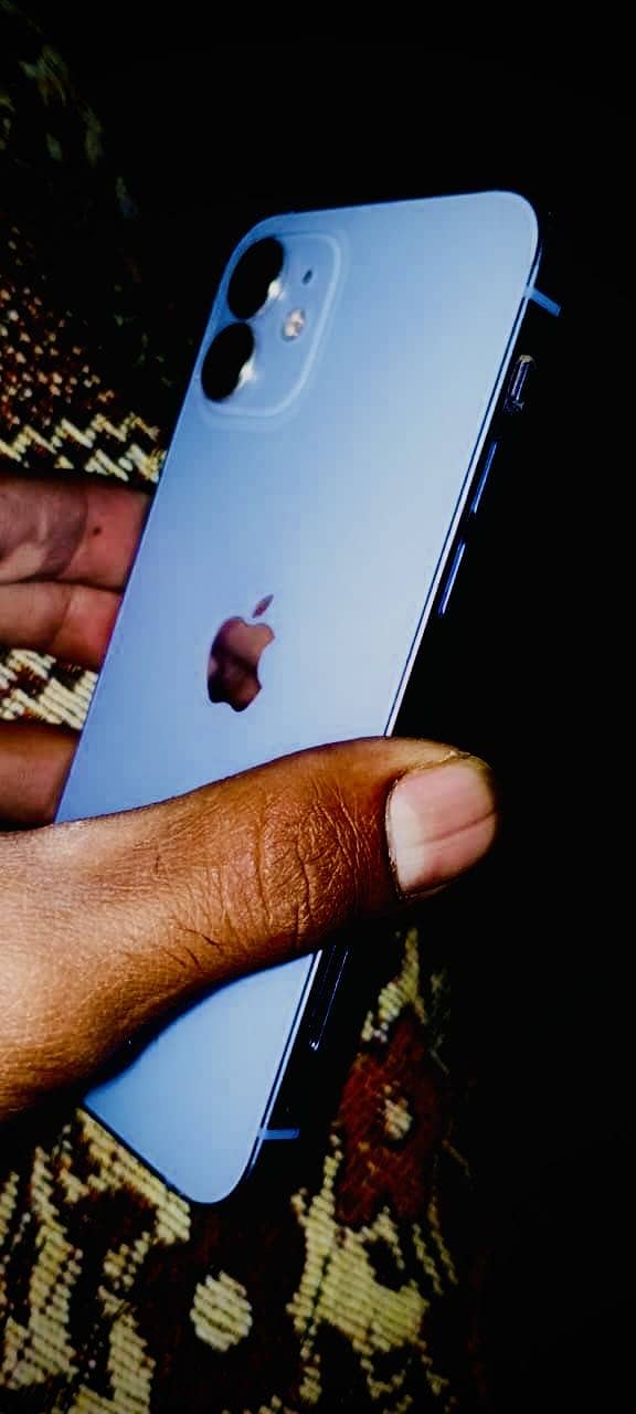 Apple iPhone 12 1