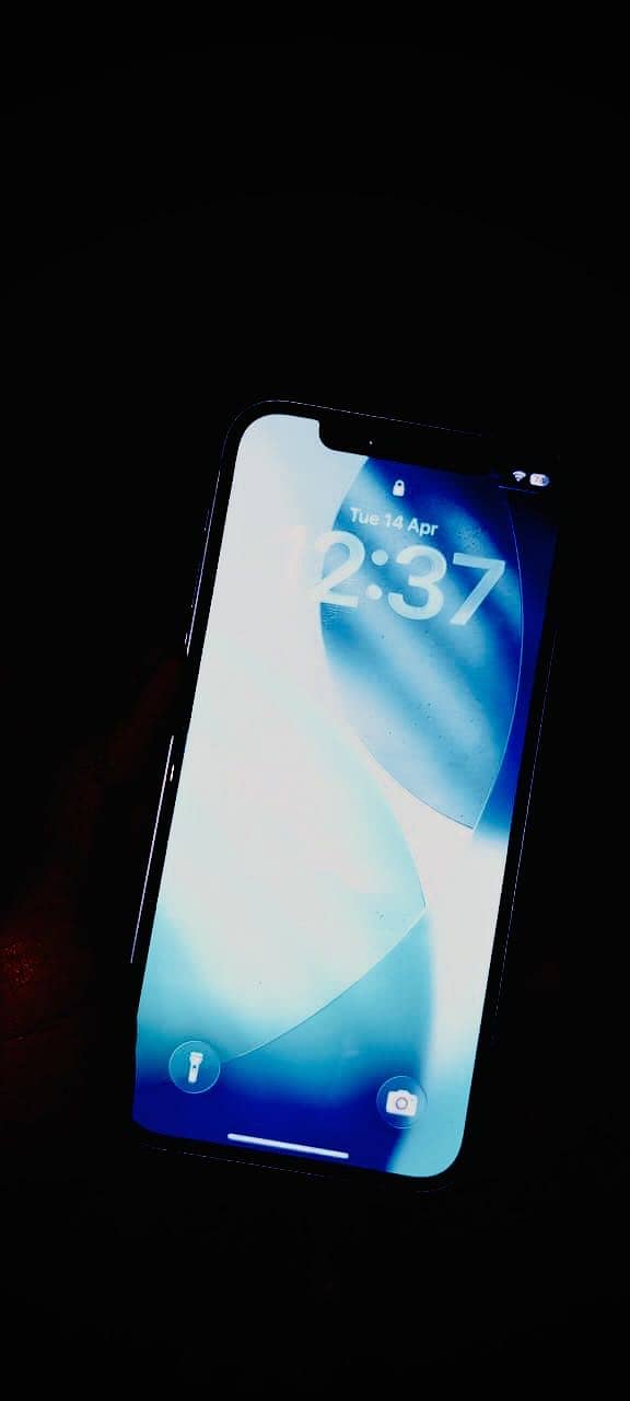 Apple iPhone 12 5