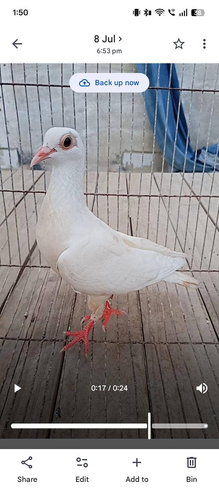 jangle gandedar 3