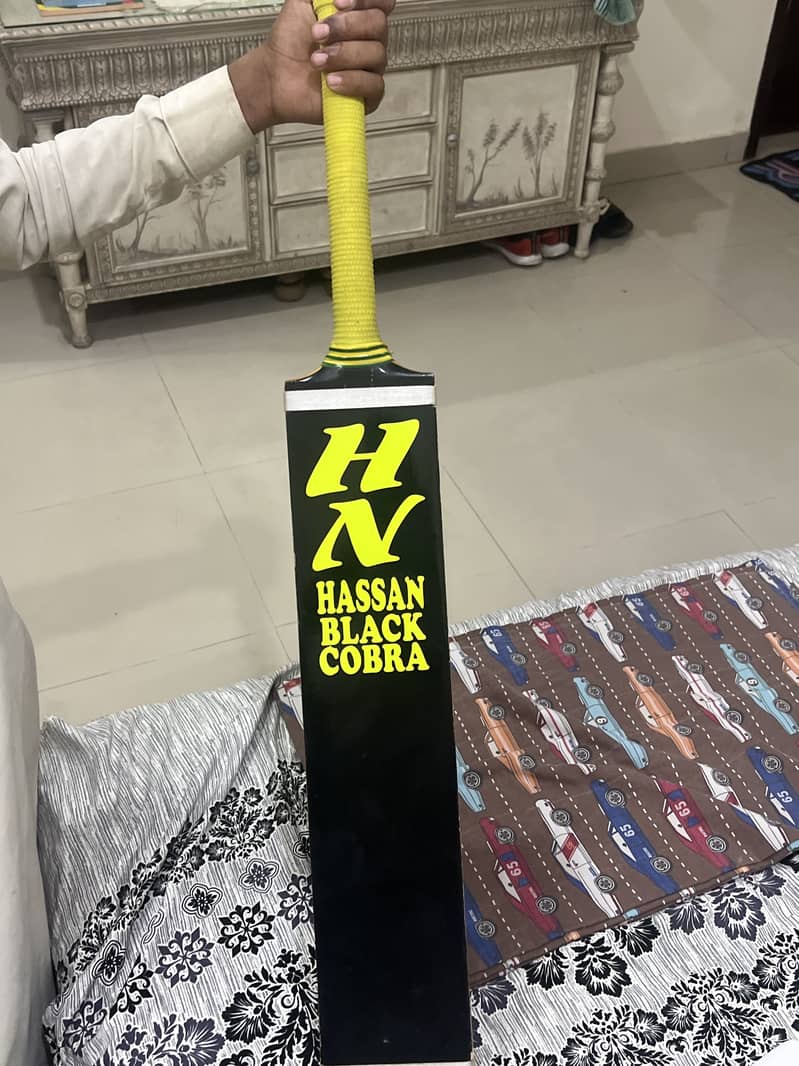 Bats cricket 2