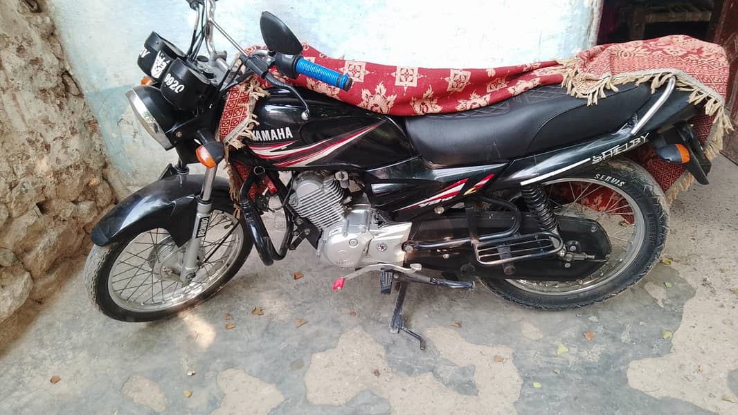kamran 3
