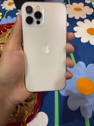 Apple iPhone 12 Pro