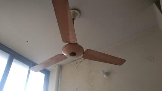 Ceiling Fan for Sale 03204145331