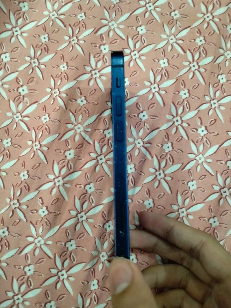 Apple iPhone 12 mini 1