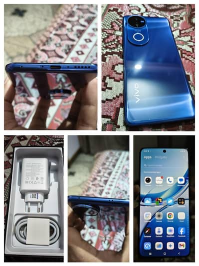 Vivo V50 12+512