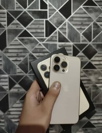 Apple iPhone 13 Pro