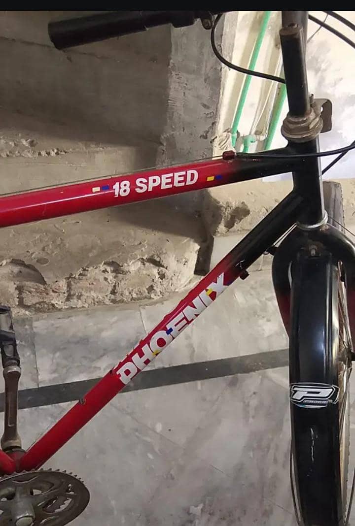 cycle 1