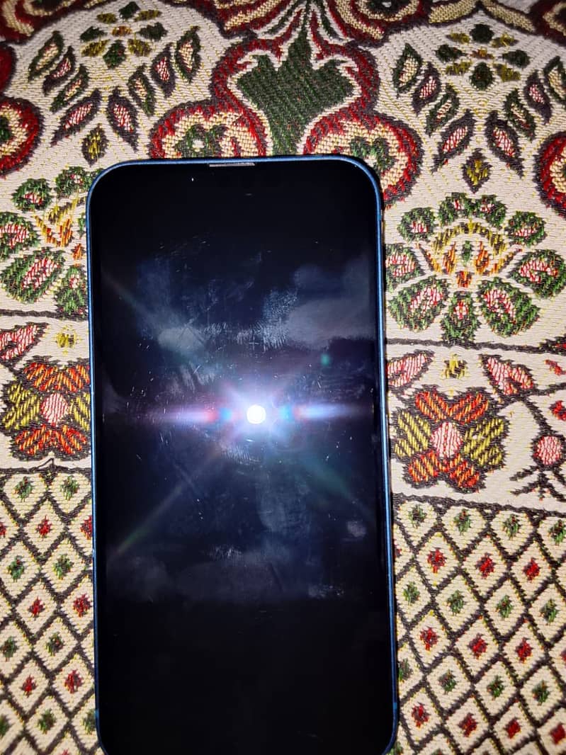 Apple iPhone 13 0
