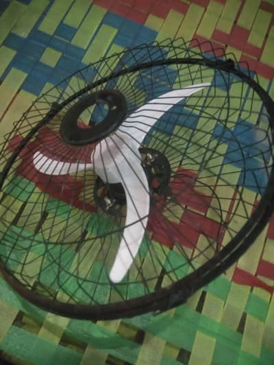 12 v dc fan
