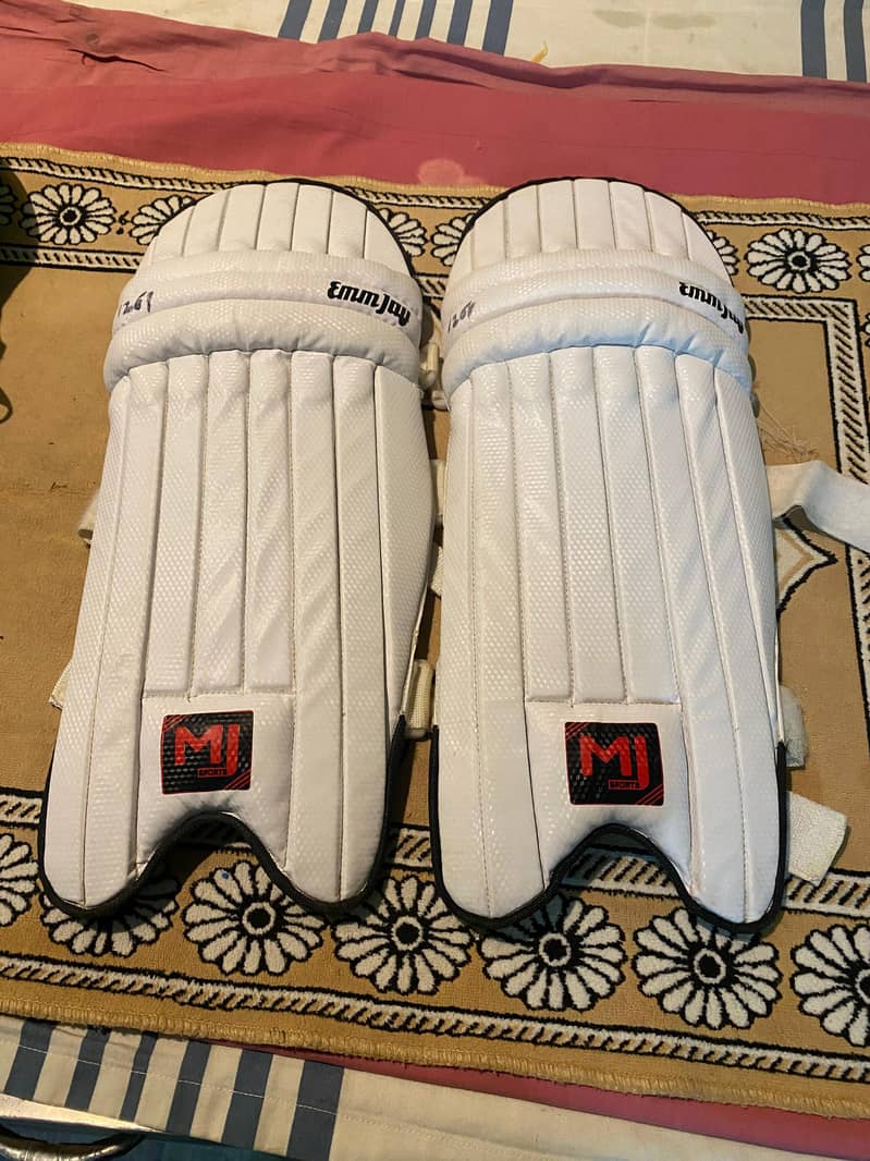Cricket kit 2