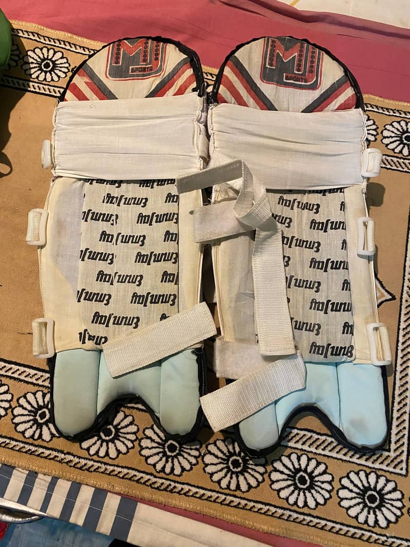 Cricket kit 3
