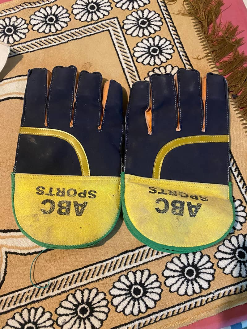 Cricket kit 6
