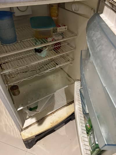 Fridge double door
