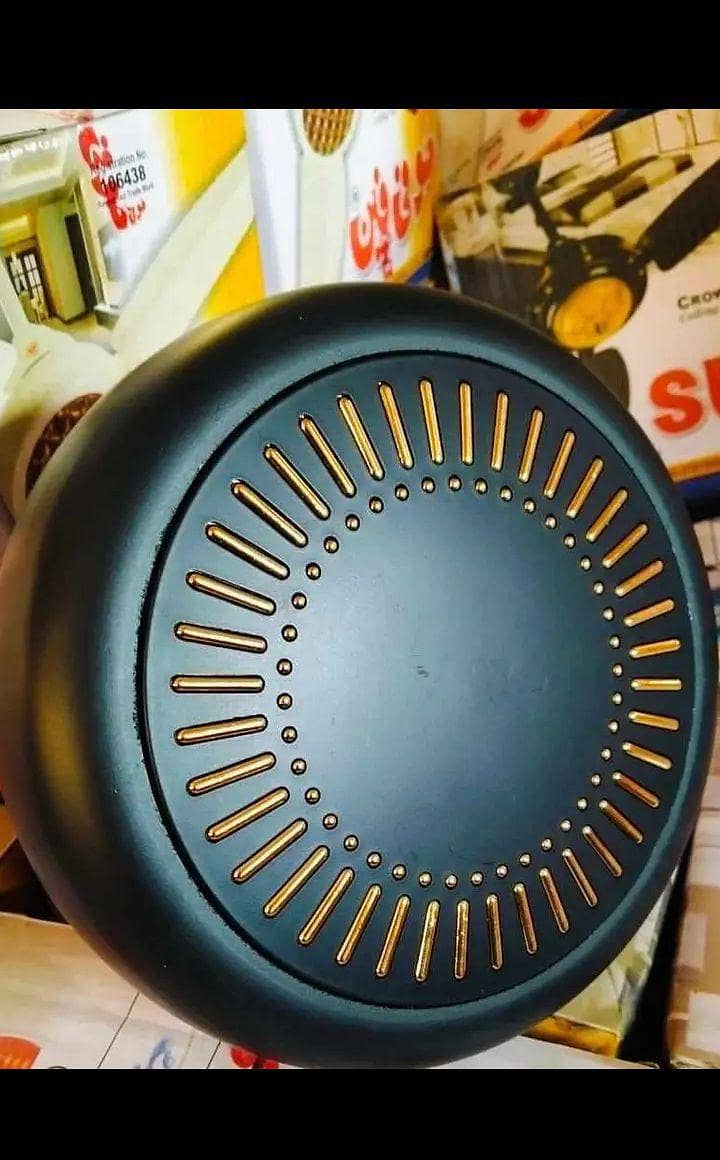 AC/DC ceiling fan 3