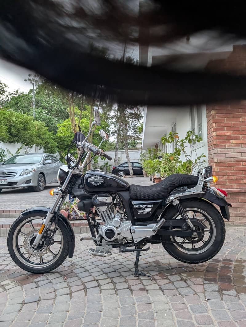 Harley Davidson Rep 1