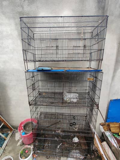 8 porchene wala cage hy