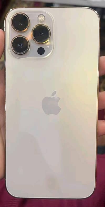 Apple iPhone 13 Pro Max