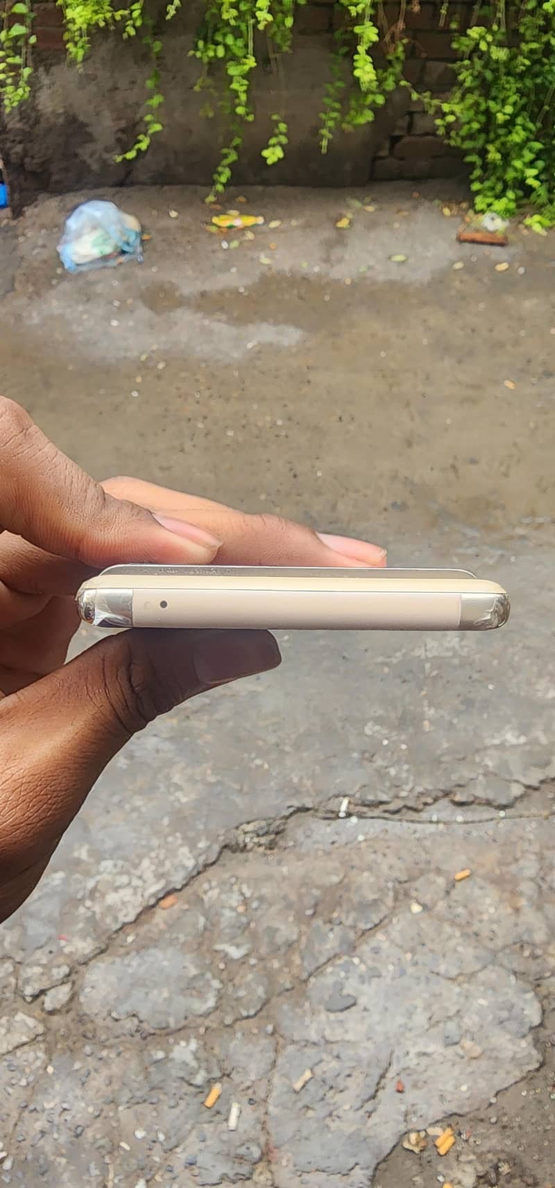 Google Pixel 6 Pro 2