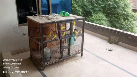 Cocktail Bugies & Fisher pair for sale