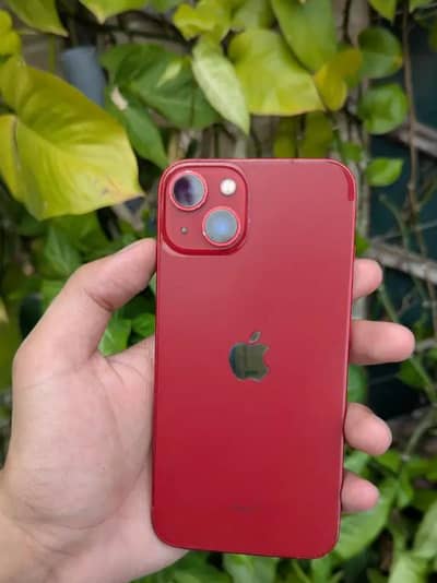 Apple iPhone 13