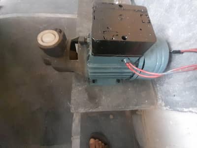 monoblock pump chuha pump