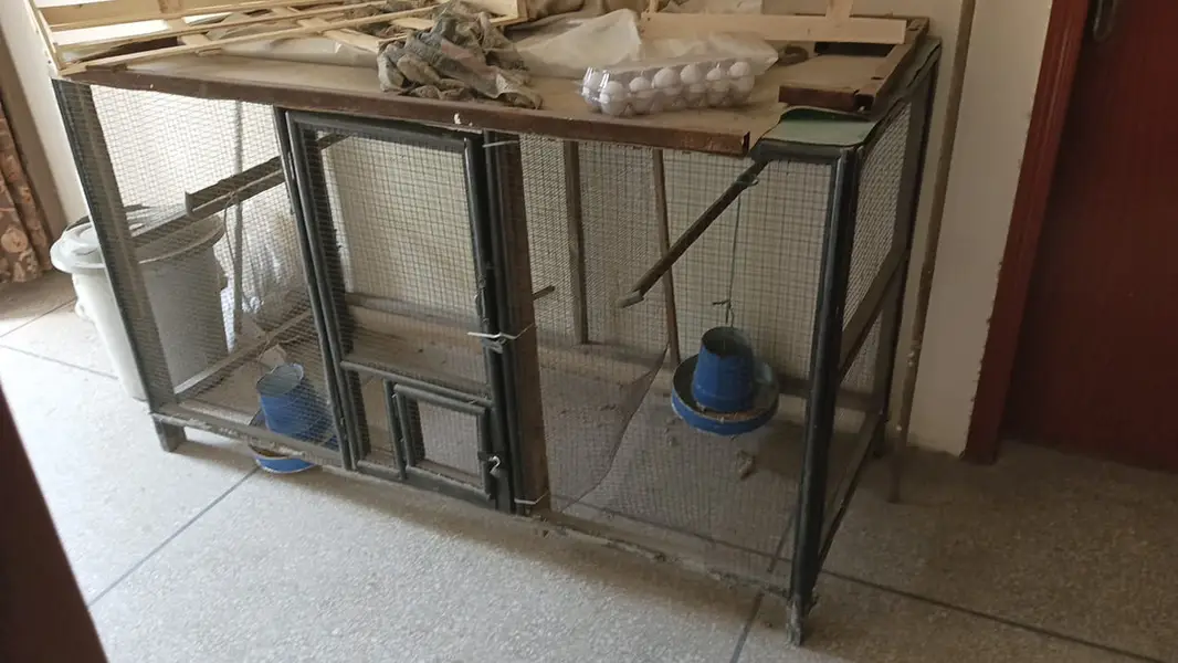 Urgent - Hen Cage For Sale - Good Condition