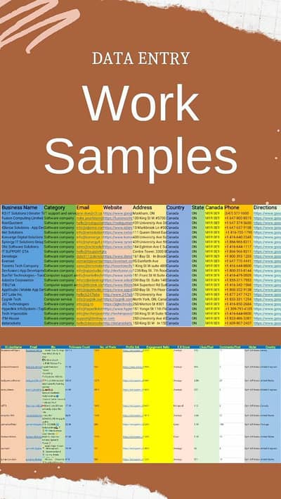 Professional MS Office, Excel Data Entry & Typing Services