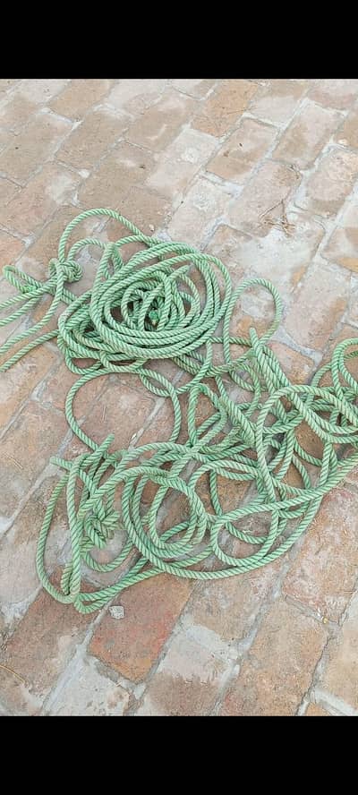 rassaa for sale 100 ft + lambai