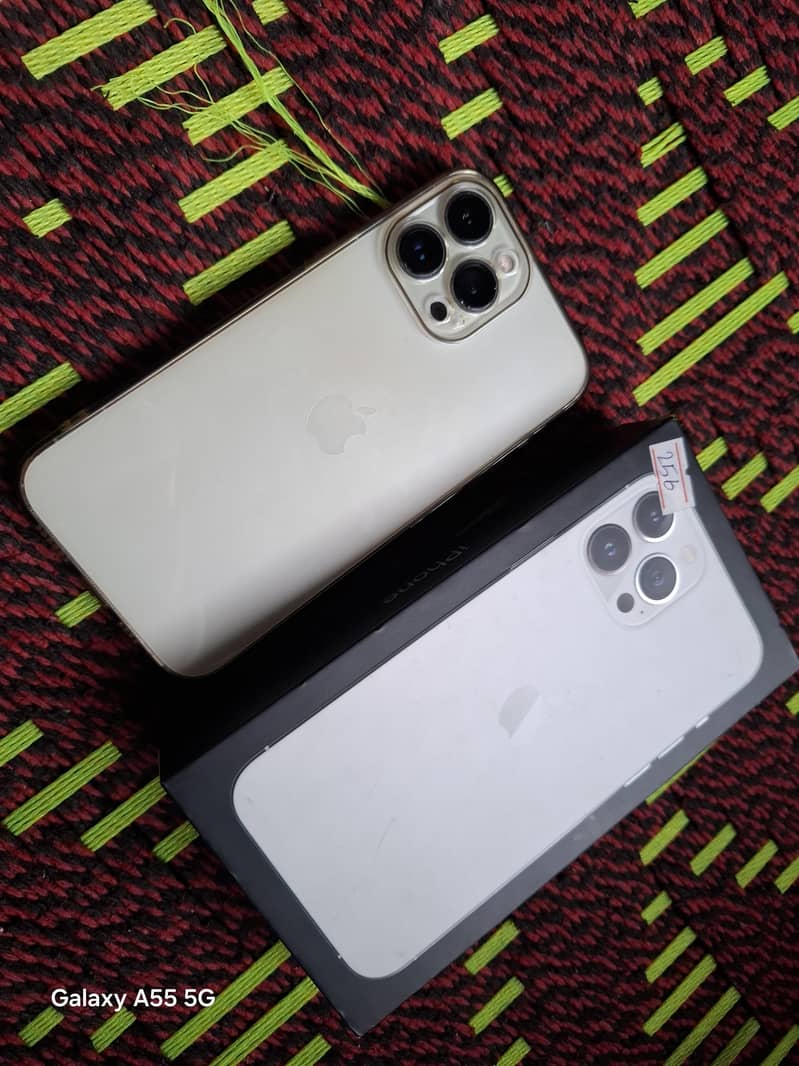 Apple iPhone 13 Pro Max 1