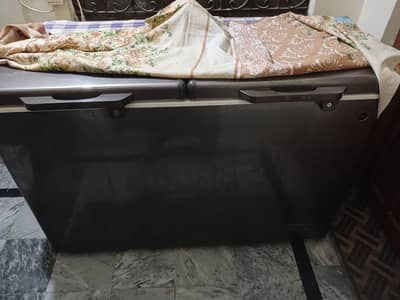 PEL deep freezer