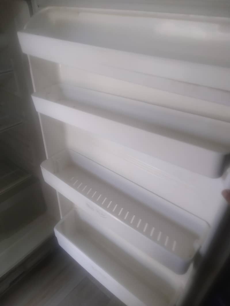 Double RefrigeratorFreezer 3