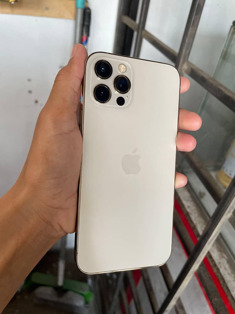 Apple iPhone 12 1